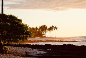 Palm trees and lava rock shoreline at sunset at Kona Village in Hawaii