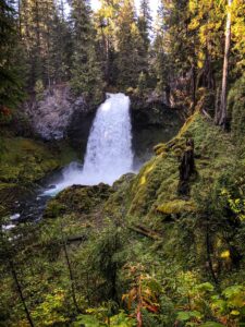 Waterfall pouring into a mossy forest canyon in Oregon
